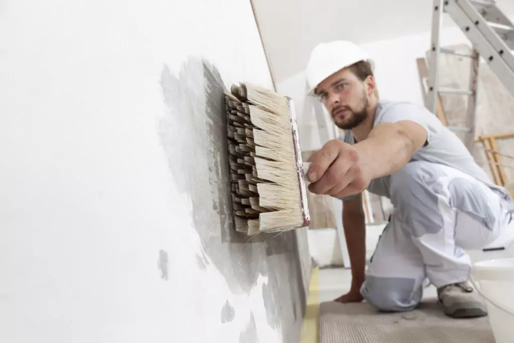 Decoracion de paredes con Pintura
