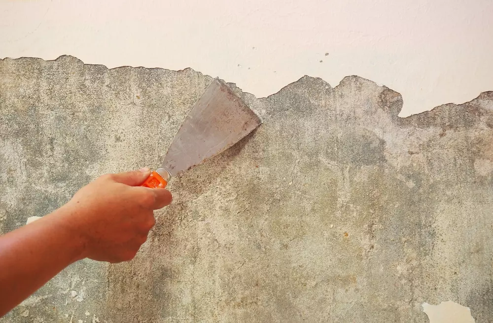 Como quitar la pintura con espátula