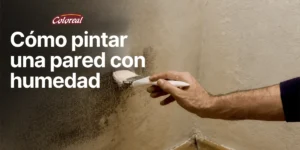 como pintar pared con humedad